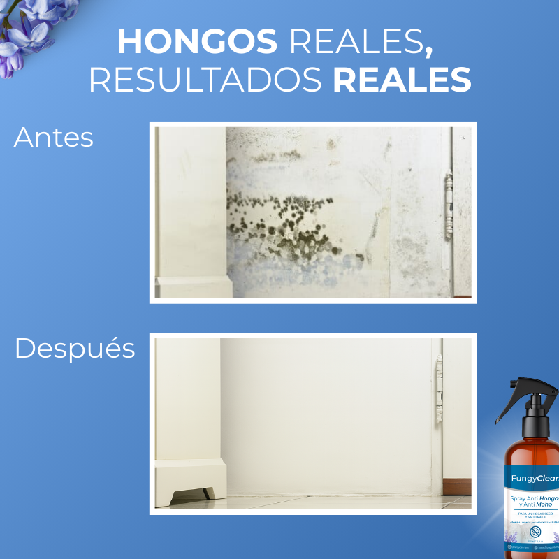 FungyClean- La Solución a Los Hongos de tu Hogar