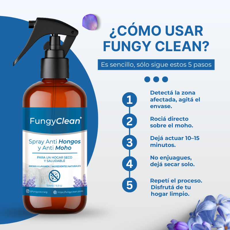 FungyClean- La Solución a Los Hongos de tu Hogar