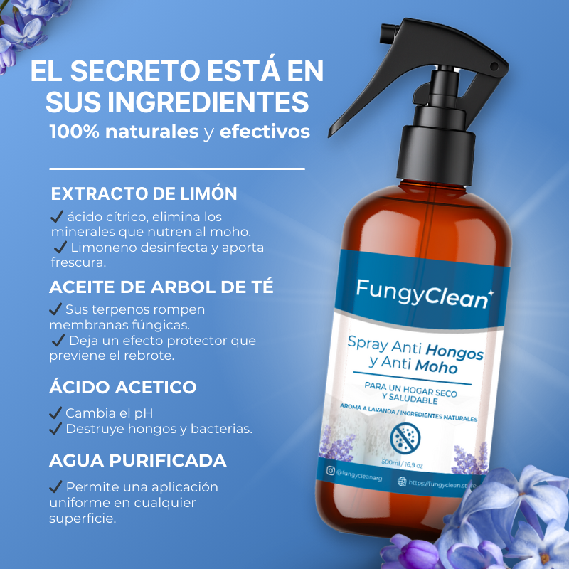 FungyClean- La Solución a Los Hongos de tu Hogar