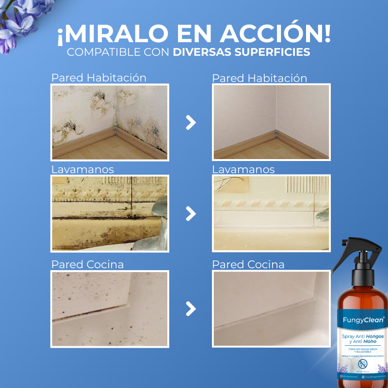 FungyClean- La Solución a Los Hongos de tu Hogar