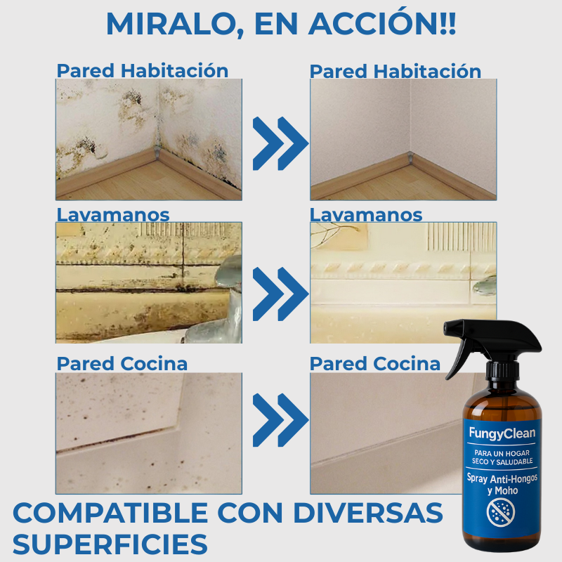 FungyClean- La Solución a Los Hongos de tu Hogar