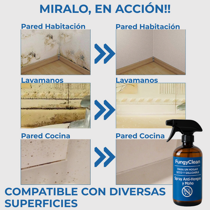 FungyClean- La Solución a Los Hongos de tu Hogar